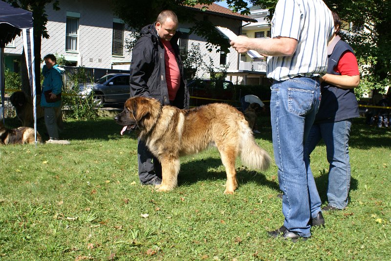 Nachzuchttreffen 08_08 035.jpg - Mäge mit Avalon